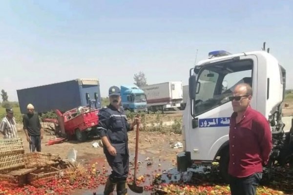 سقوط سيارة خضروات بطريق طلخا - شربين وإعادة فتح الطريق بعد رفع آثار الحادث