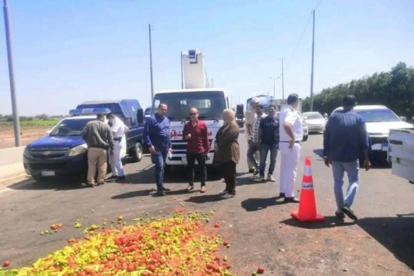 سقوط سيارة خضروات بطريق طلخا - شربين وإعادة فتح الطريق بعد رفع آثار الحادث