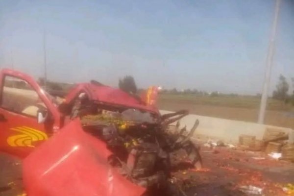 سقوط سيارة خضروات بطريق طلخا - شربين وإعادة فتح الطريق بعد رفع آثار الحادث