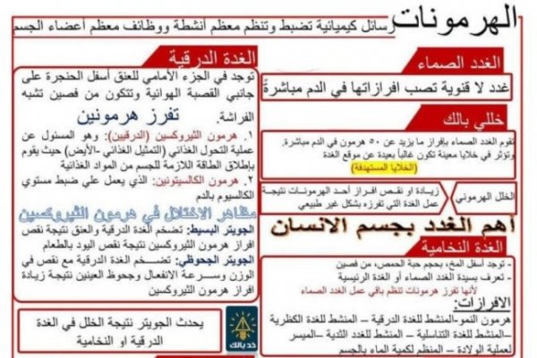 ملخص علوم للشهادة الإعدادية 2026 الترم الثاني..أهم النقاط المتوقعة في الامتحان
