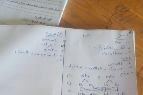 عاجل.. راجع حلولك| إجابة امتحان العلوم للشهادة الإعدادية 2026 محافظة القاهرة